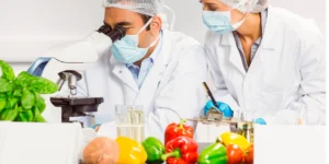 صنایع غذایی در شاهین شهر