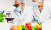 صنایع غذایی در شاهین شهر