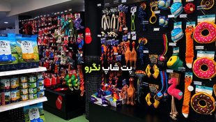 پت شاپ نگرو شاهین شهر