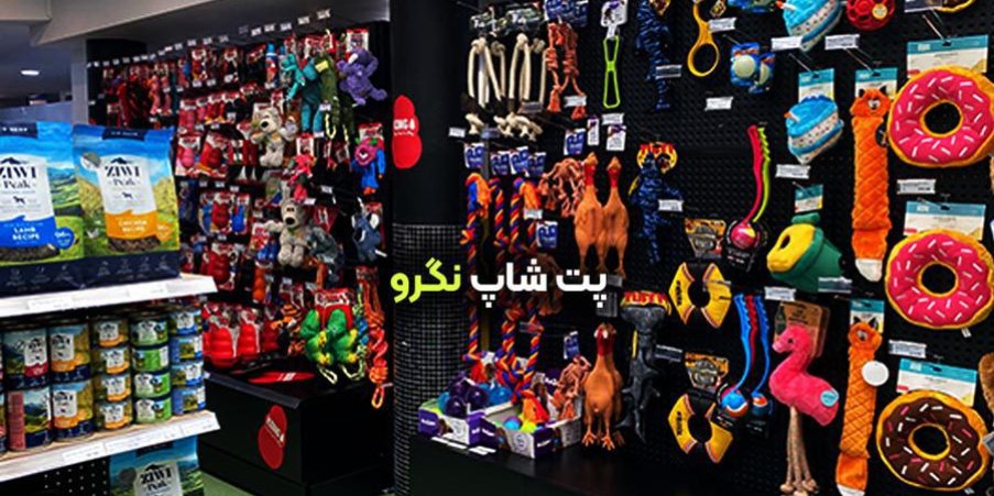 پت شاپ نگرو شاهین شهر
