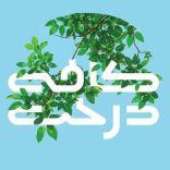 کافه-درخت-شاهین-شهر کافه درخت شاهین شهر