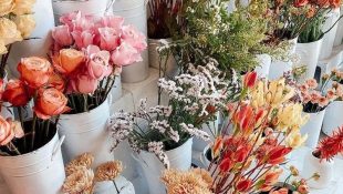گل فروشی آوا شاهین شهر